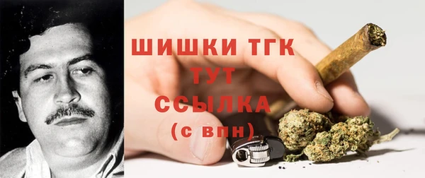сатива Волосово