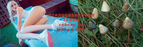 сатива Волосово