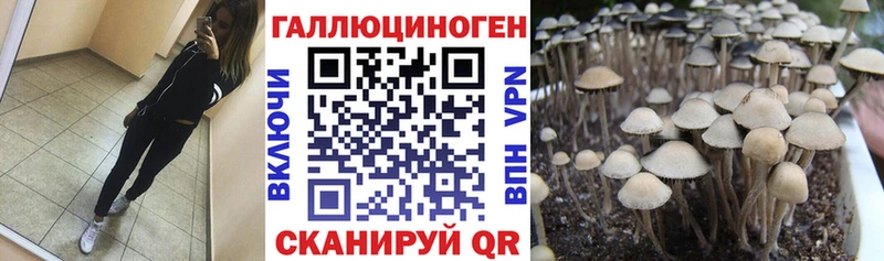 Галлюциногенные грибы Magic Shrooms  Катав-Ивановск 